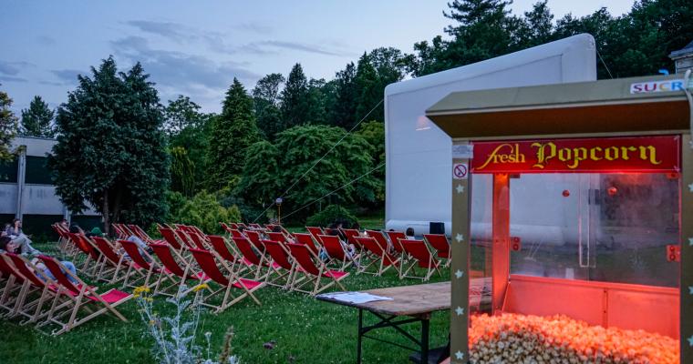 cinémas plein air