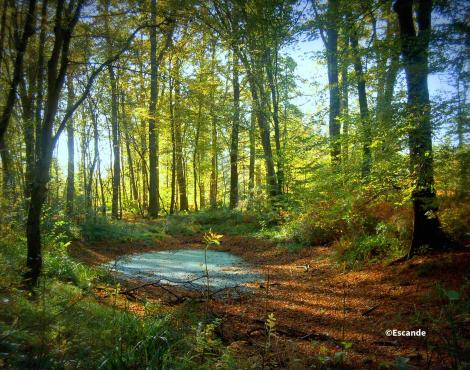 environnement milieux naturels