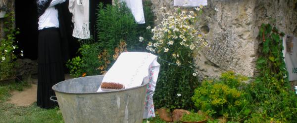 des femmes aux carrières